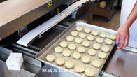 Línea industrial sistema de Prodction del pan del PLC para el pan de relleno